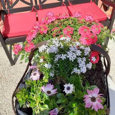 Ferienhaus Le Petit Atelier *