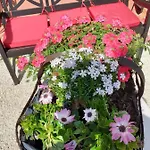 Сasa de vacaciones Le Petit Atelier *